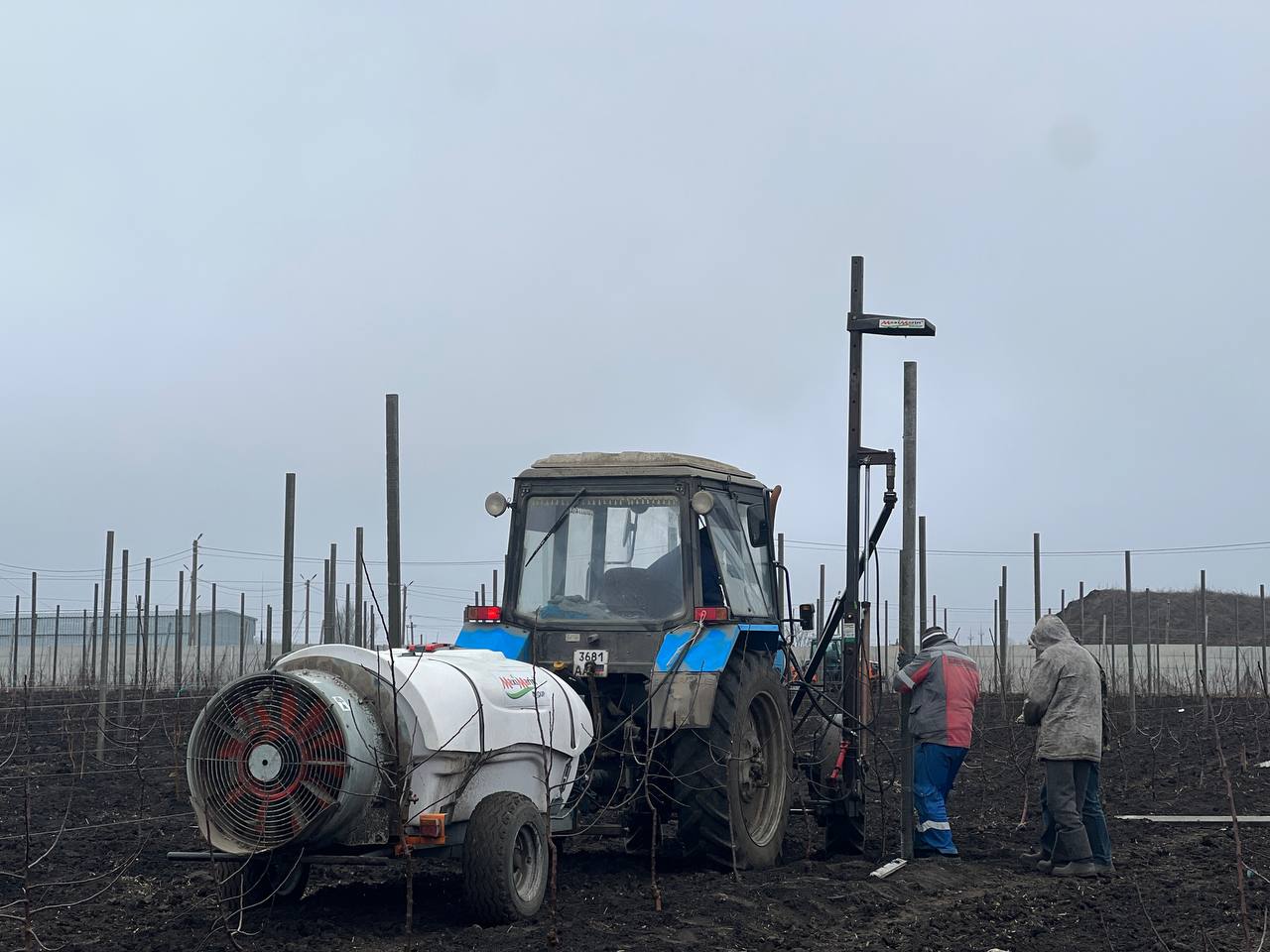 В ДНР продолжается работа над развитием отечественного садоводства