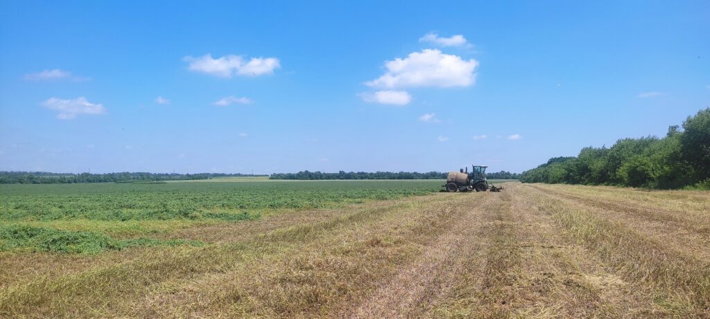 Животноводы Республики наращивают объемы заготовки сенажа 1