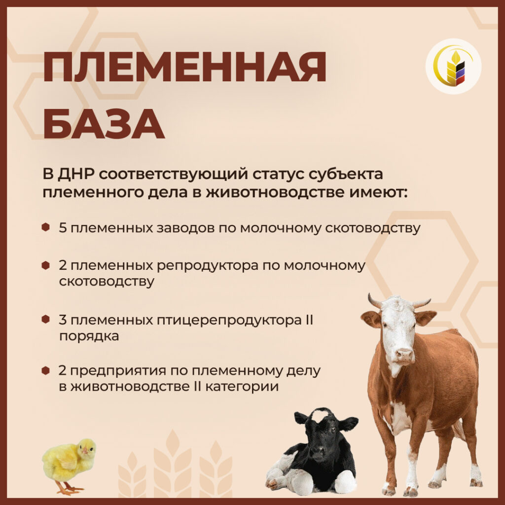 Разведение племенных животных – это не дань моде, а продуманный и перспективный шаг мудрых хозяйственников 1