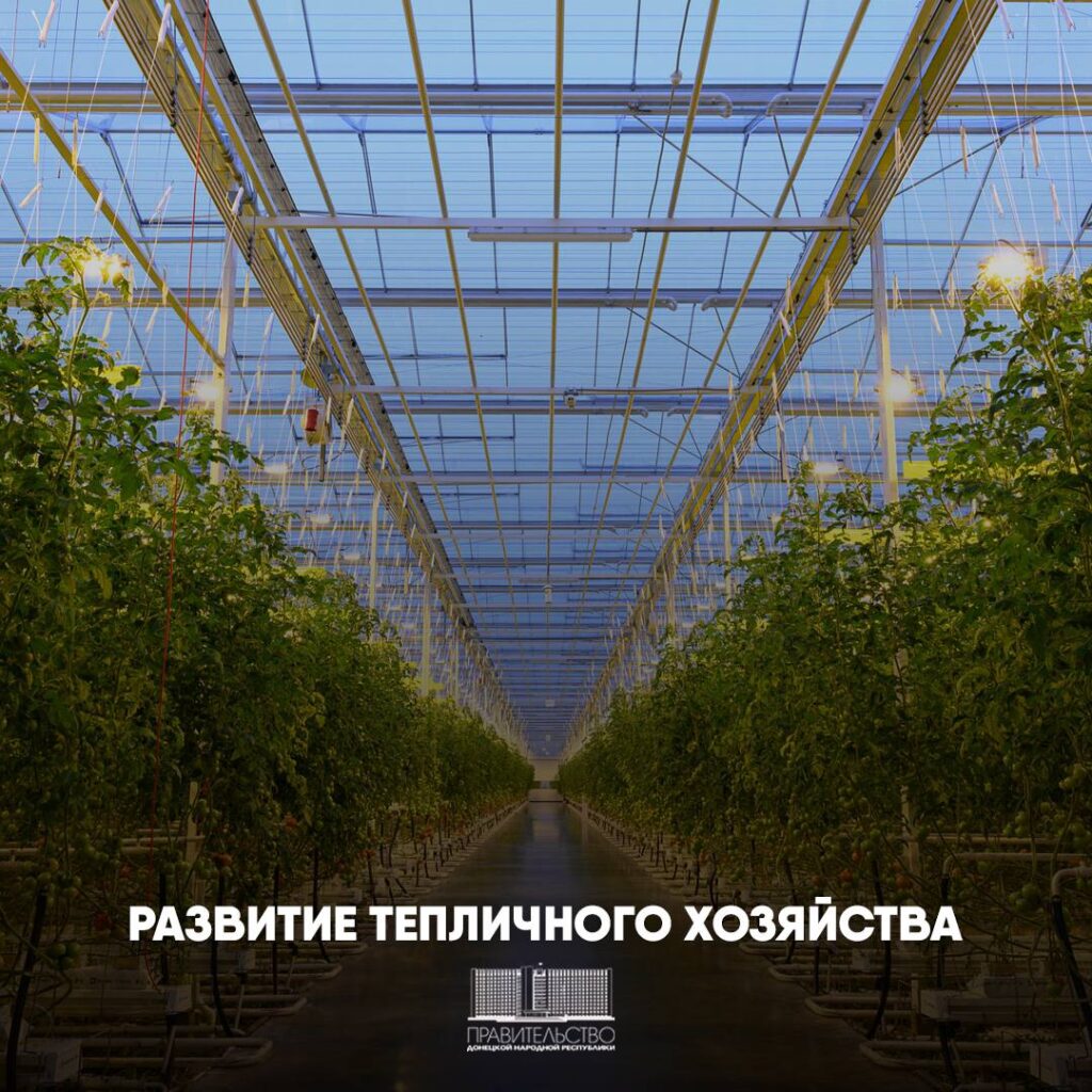 Вице-премьер Артём Крамаренко о модернизации тепличного хозяйства в ДНР  1