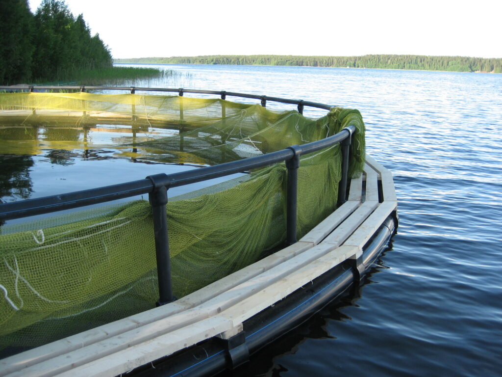 Извещение о проведении заседания Комиссии по определению границ рыбоводных участков во внутренних водах Российской Федерации, расположенных на территории Донецкой Народной Республики 1